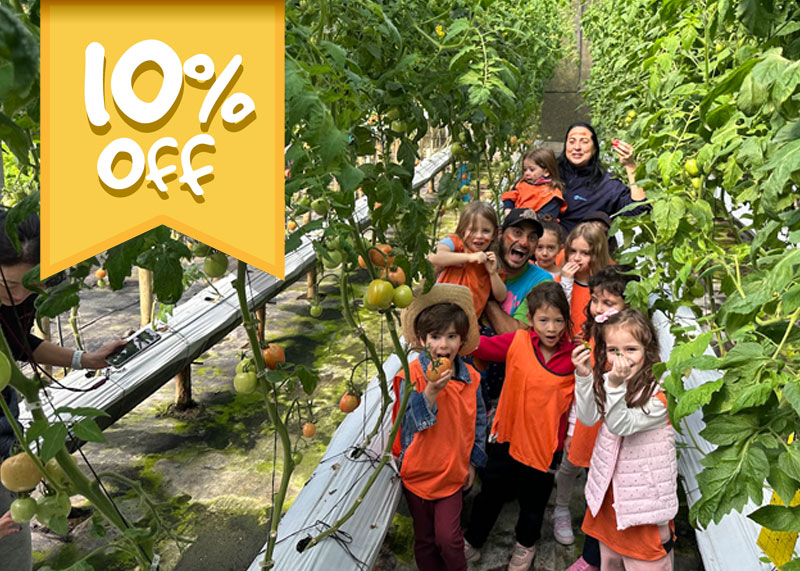 NOVEMBRO - 10% OFF
