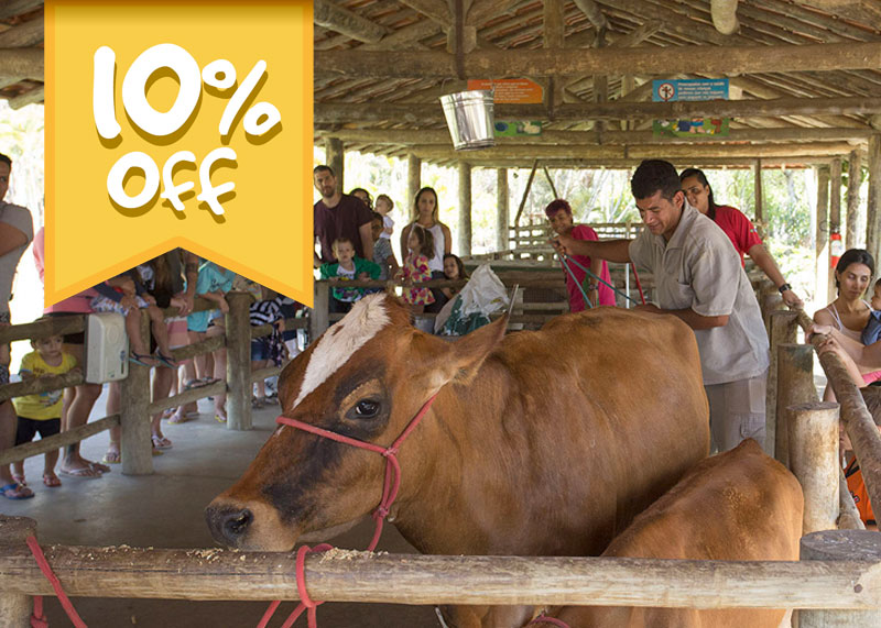 OUTUBRO - 10% OFF
